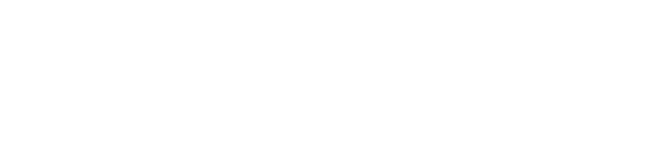 NDS logo